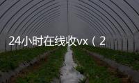 24小时在线收vx（24小时在线收vx号正规）